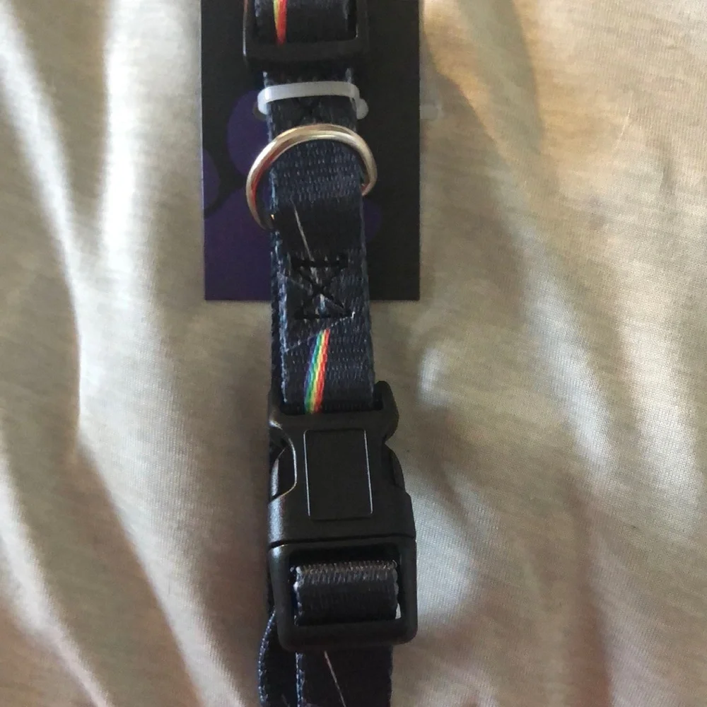 Pink Floyd Dog Collar with Rainbow Stripes